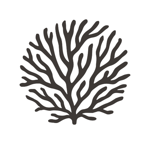 Logo of a sea fan that symbolizes flexibility and resilience, interconnected community, balanced receiving and a deep perspective.